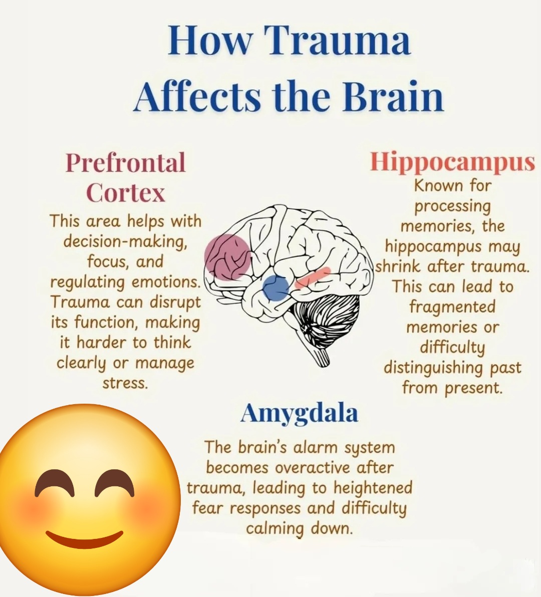 Trauma and brain development illustration